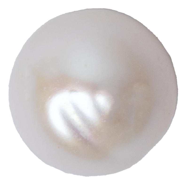 Premium Grade A Pearl