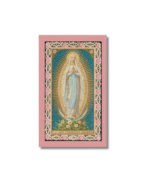 Immaculate Conception Holy Card: pink-framed Virgin Mary with golden halos
