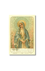 Our Lady of the Lilies Holy Card