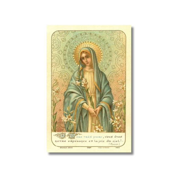Our Lady of the Lilies holy card with Virgin Mary in teal gold robe lilies