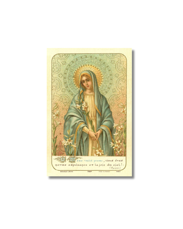 Our Lady of the Lilies holy card with Virgin Mary in teal gold robe lilies