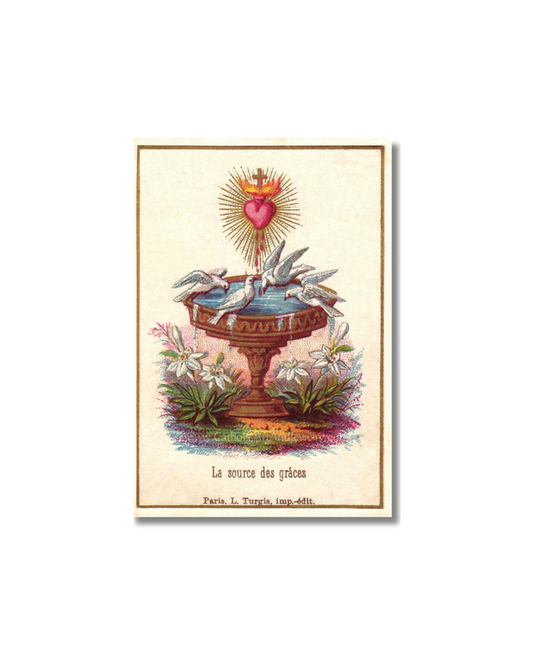 Source of Graces Holy Card: sacred heart above baptismal font with doves, lilies