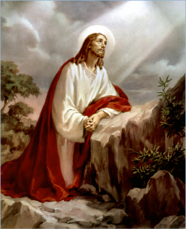 A classical religious painting depicting jesus christ with a white halo, wearing a flowing white robe draped over his shoulders and a rich red cloak, seated on rocky terrain under a dramatic sky.