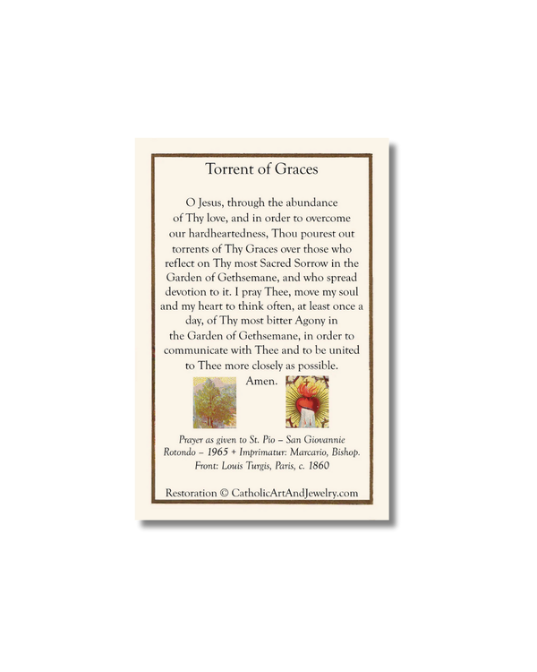 Torrent of Graces Holy Card cream-colored prayer card with black text