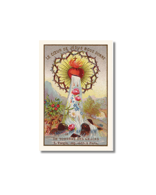 Torrent of Graces Holy Card: Sacred Heart with thorns, water, and roses