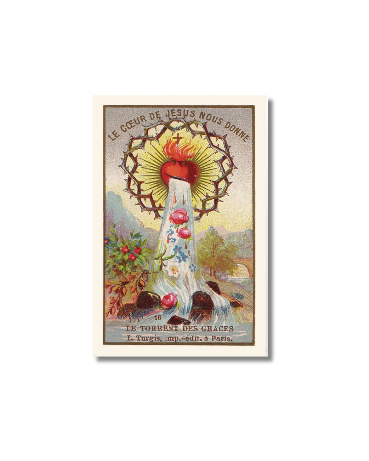 Torrent of Graces Holy Card: Sacred Heart with thorns, water, and roses
